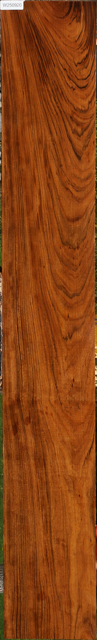 Figured Amazique Lumber