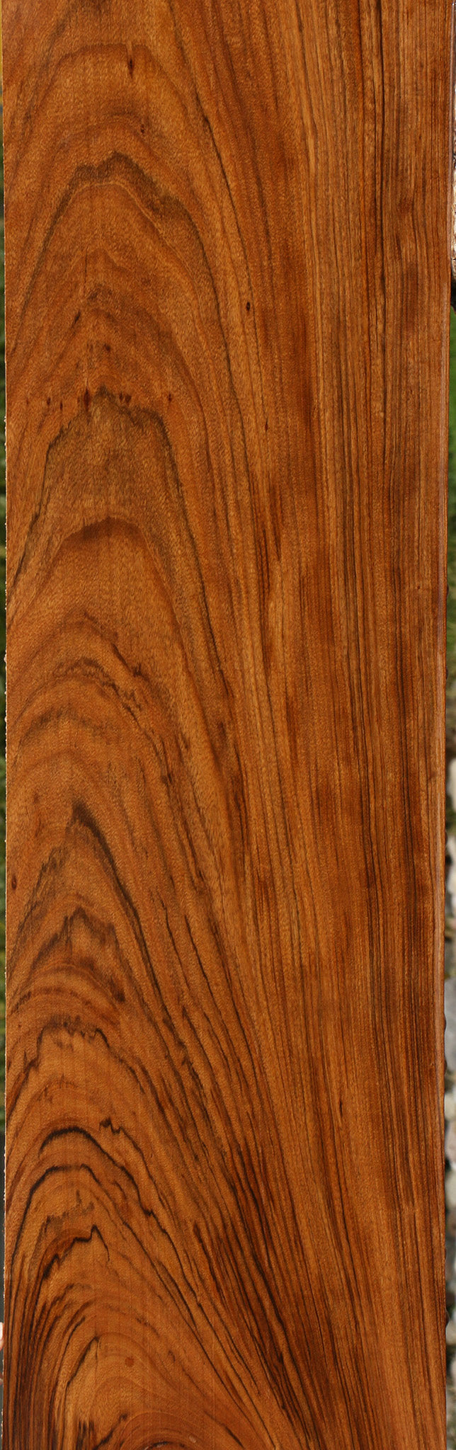 Figured Amazique Lumber