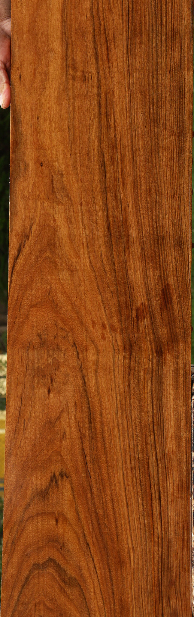 Figured Amazique Lumber