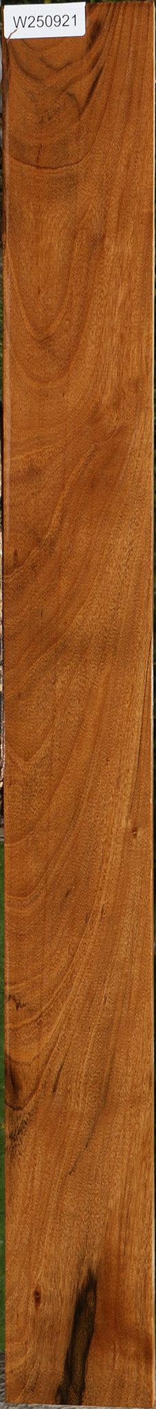 Amazique Lumber