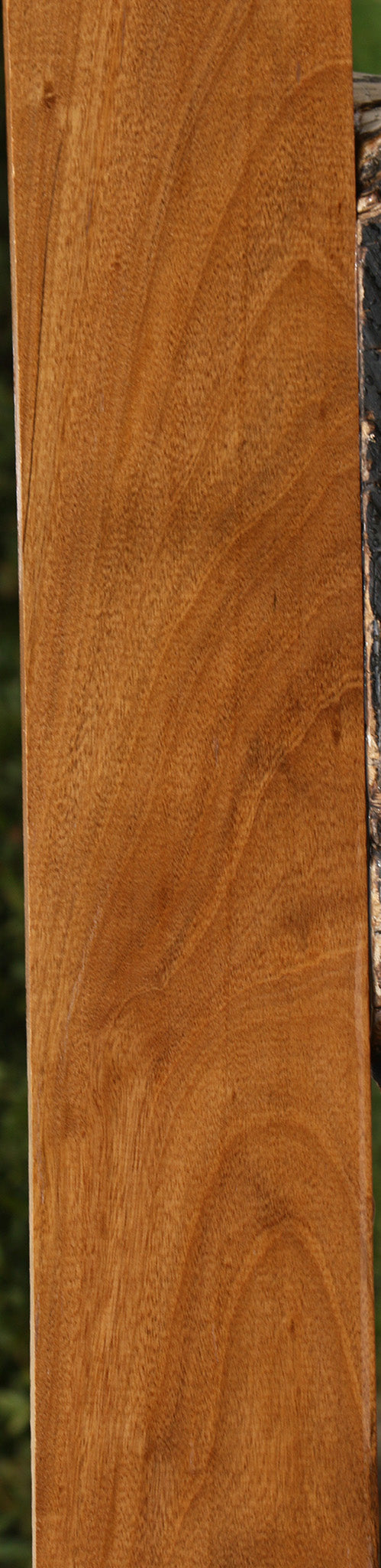 Amazique Lumber