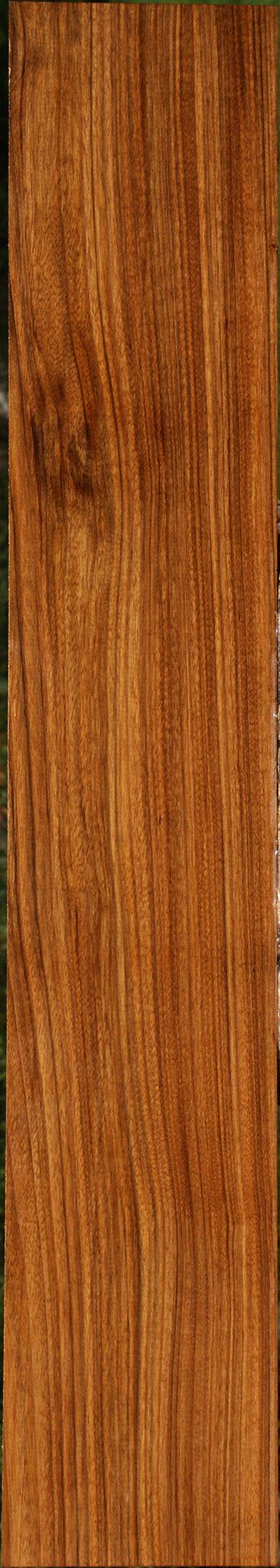 Amazique Lumber
