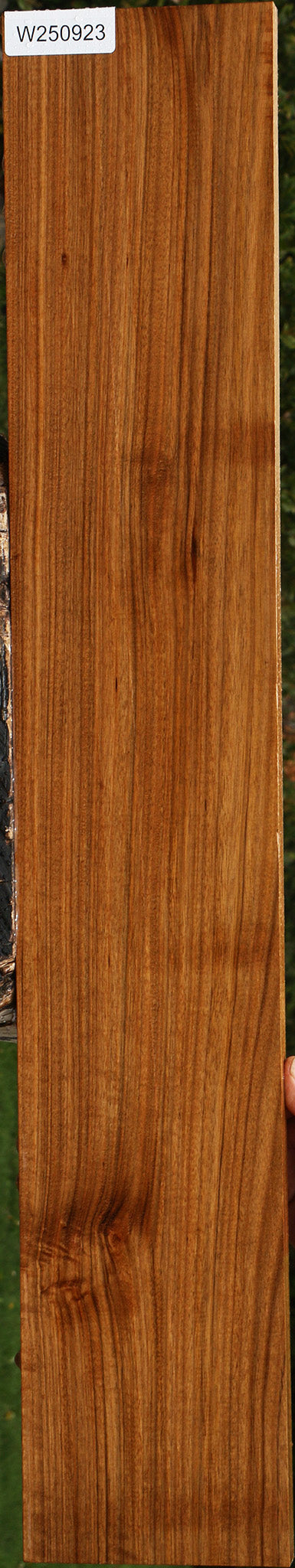 Amazique Lumber