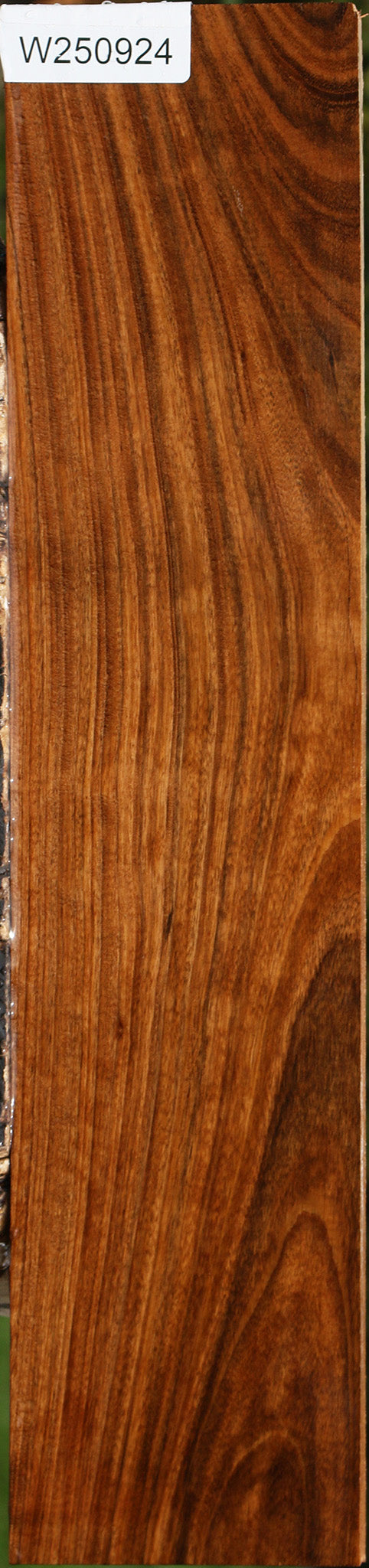 Figured Amazique Lumber
