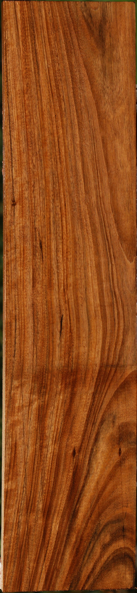 Figured Amazique Lumber
