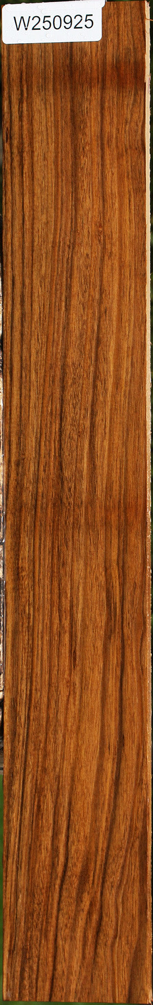 Amazique Lumber