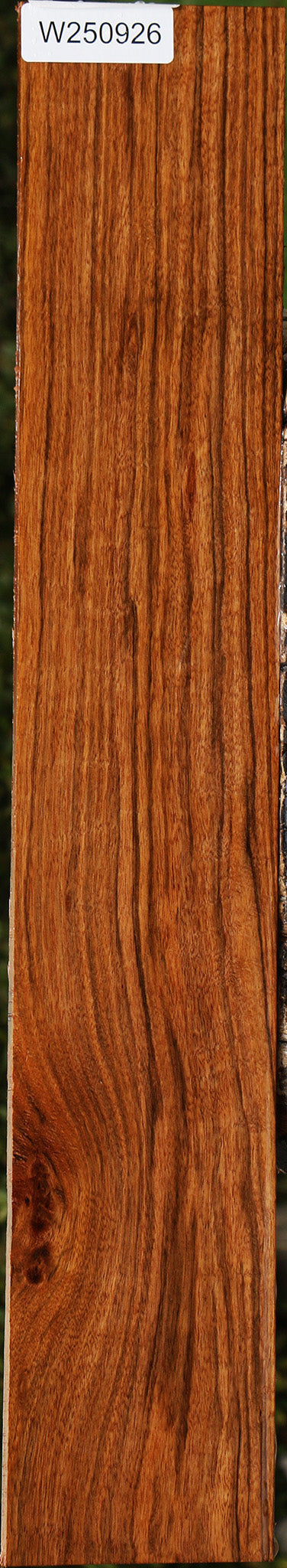 Figured Amazique Lumber
