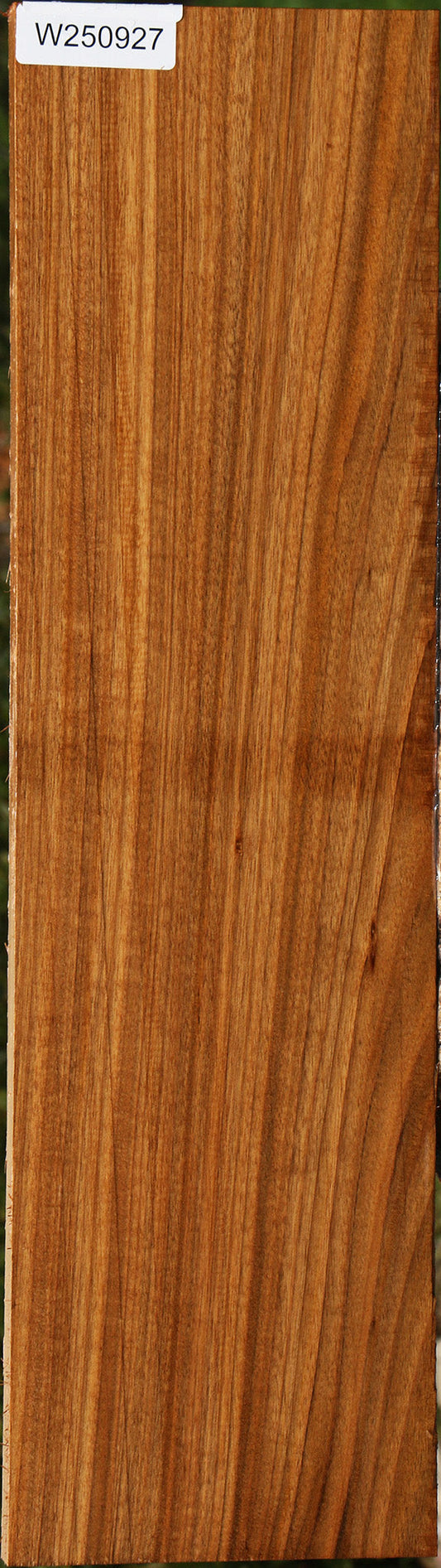 Figured Amazique Lumber