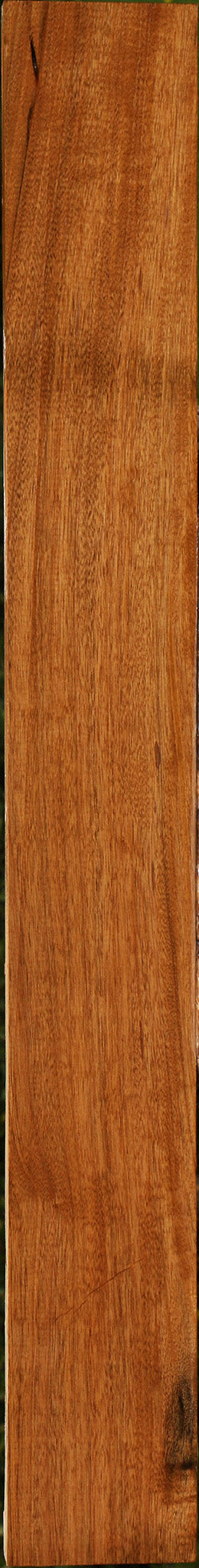 Figured Amazique Lumber