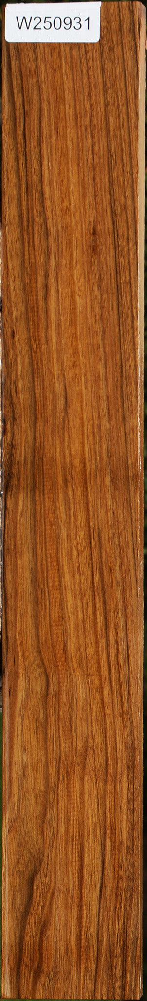 Amazique Lumber