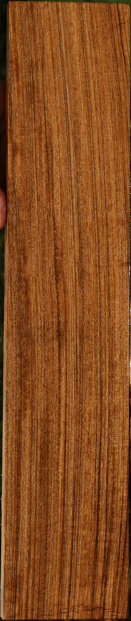 Amazique Lumber