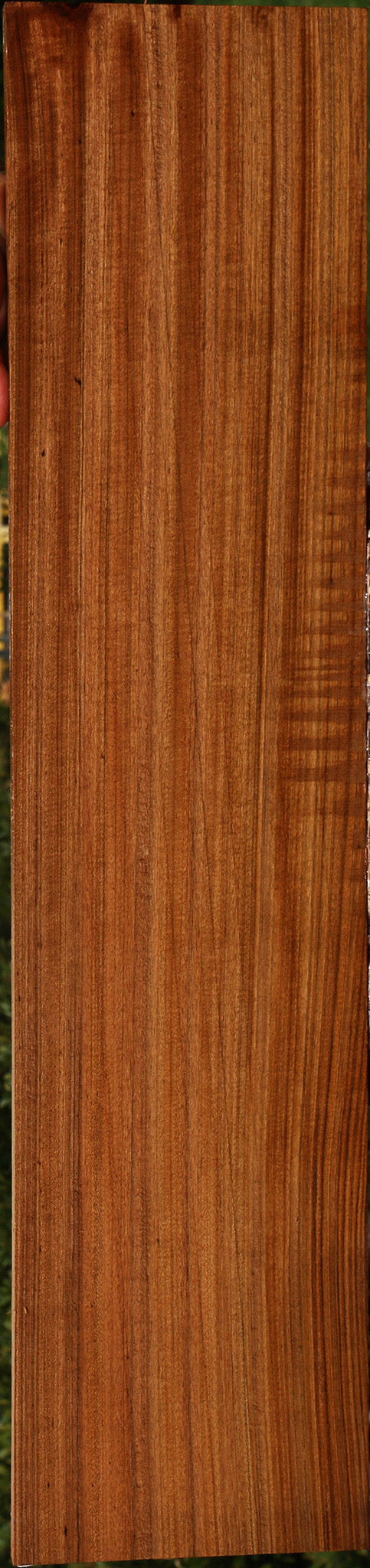 Figured Quartersawn Amazique Lumber