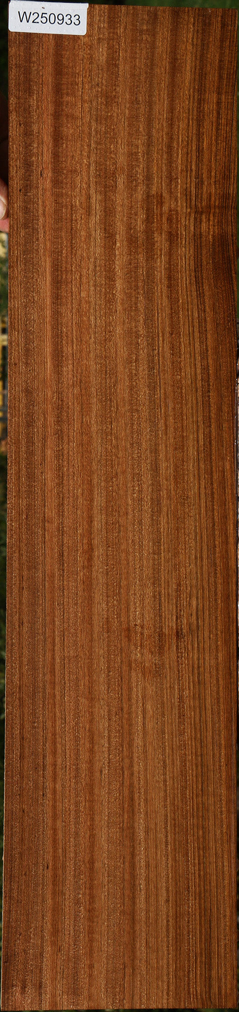 Figured Quartersawn Amazique Lumber