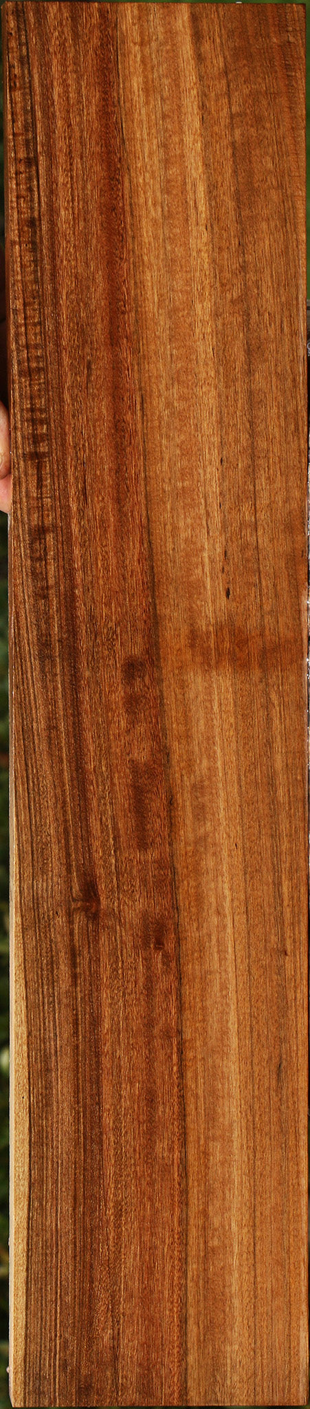 Figured Amazique Lumber