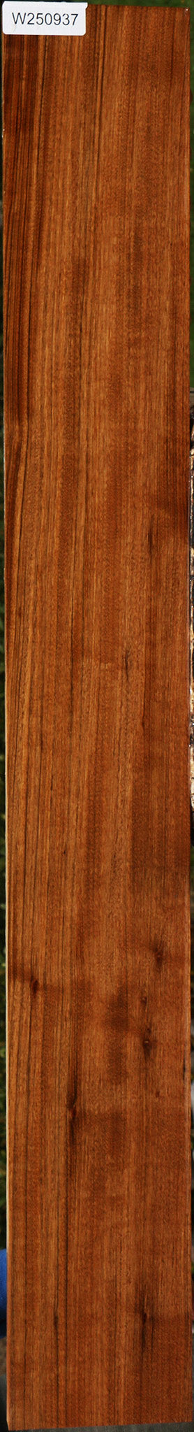 Amazique Lumber