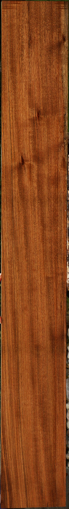 Amazique Lumber