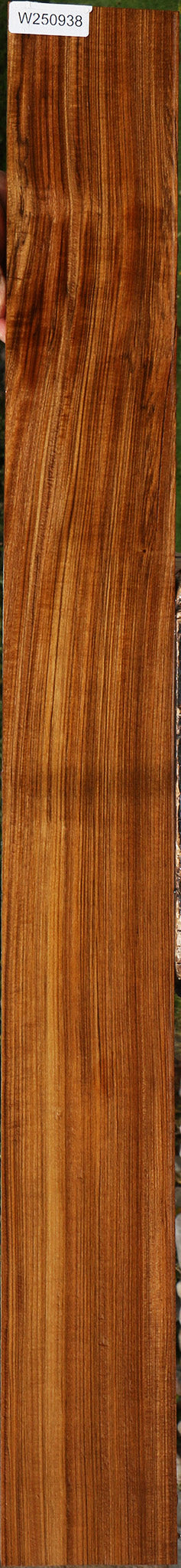 Amazique Lumber