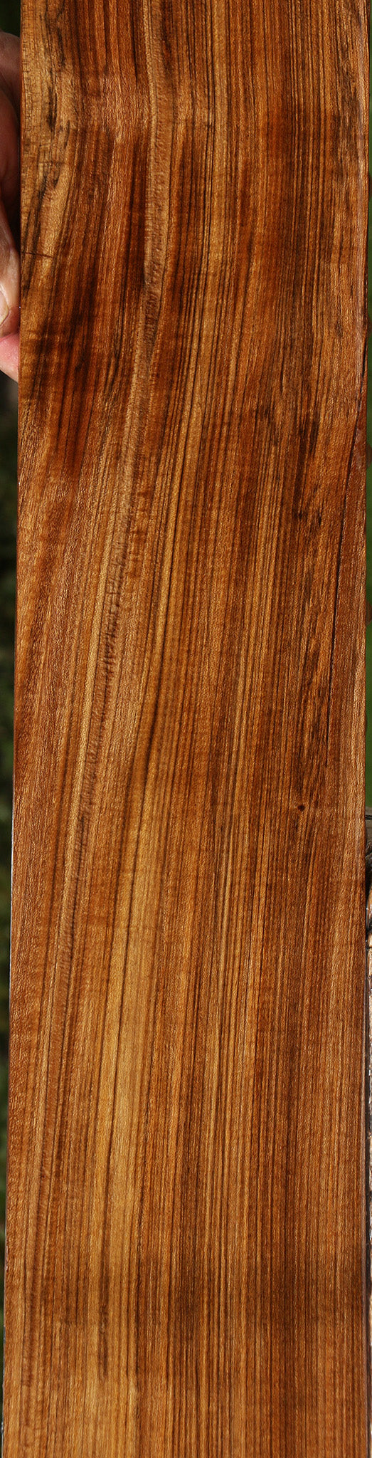 Amazique Lumber