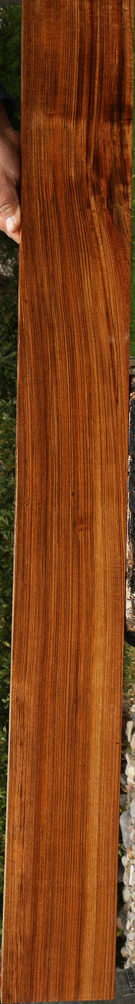 Amazique Lumber
