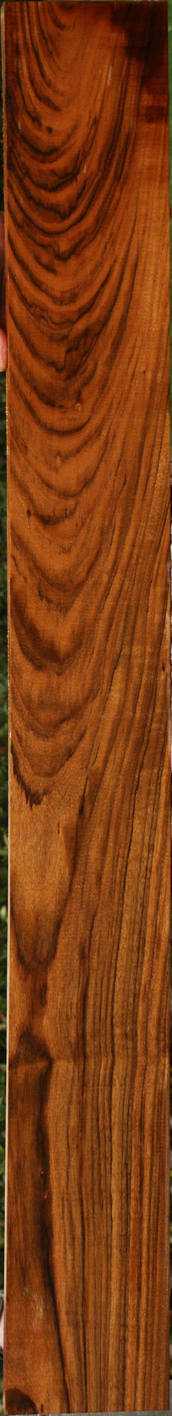 Figured Amazique Lumber