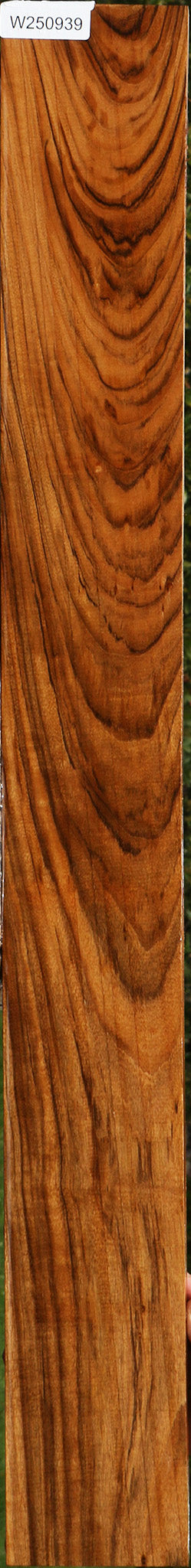 Figured Amazique Lumber