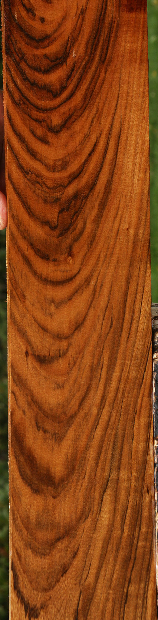 Figured Amazique Lumber