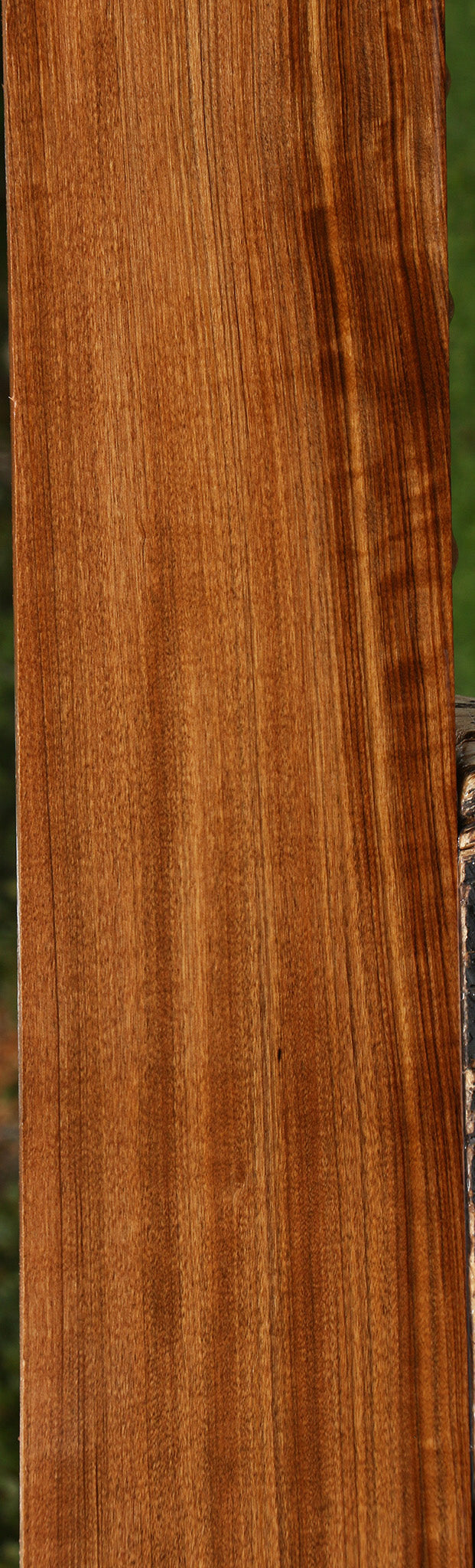 Figured Amazique Lumber