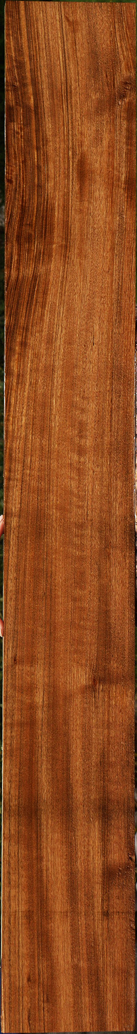 Figured Amazique Lumber