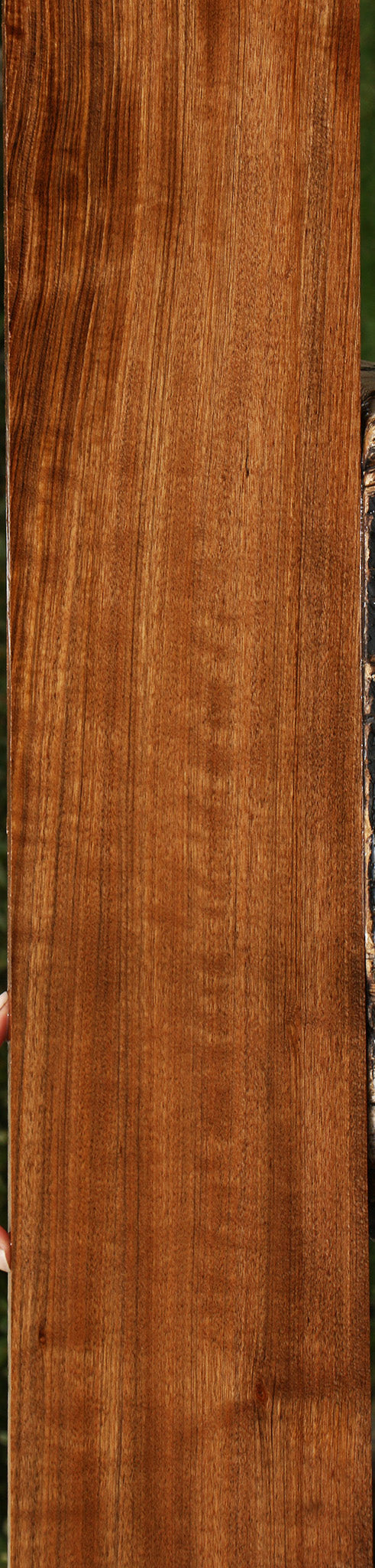 Figured Amazique Lumber