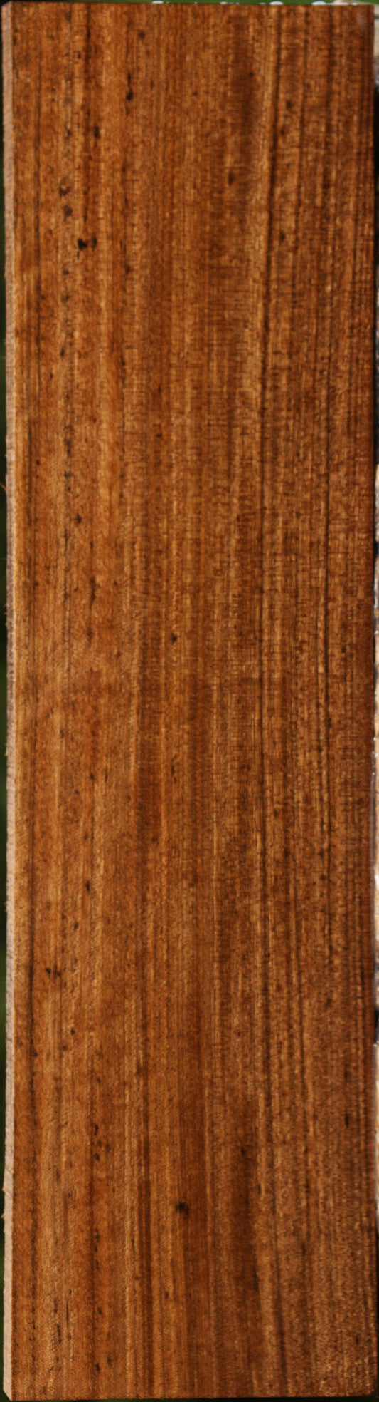 Amazique Lumber