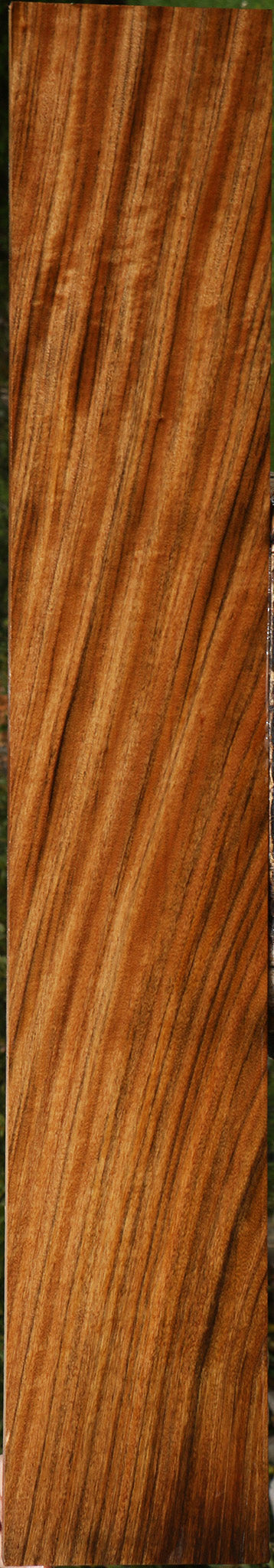 Figured Amazique Lumber