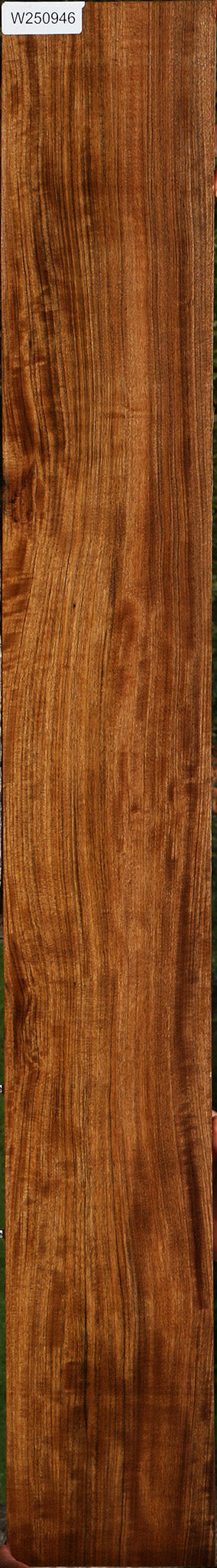 Extra Fancy Amazique Lumber