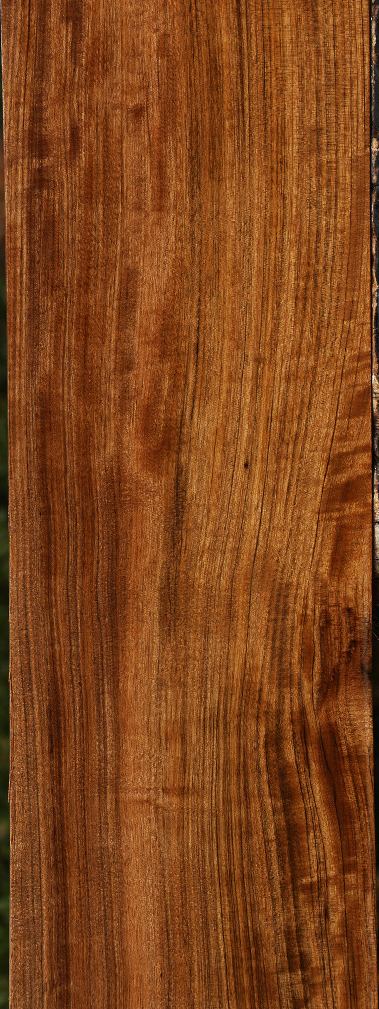 Extra Fancy Amazique Lumber