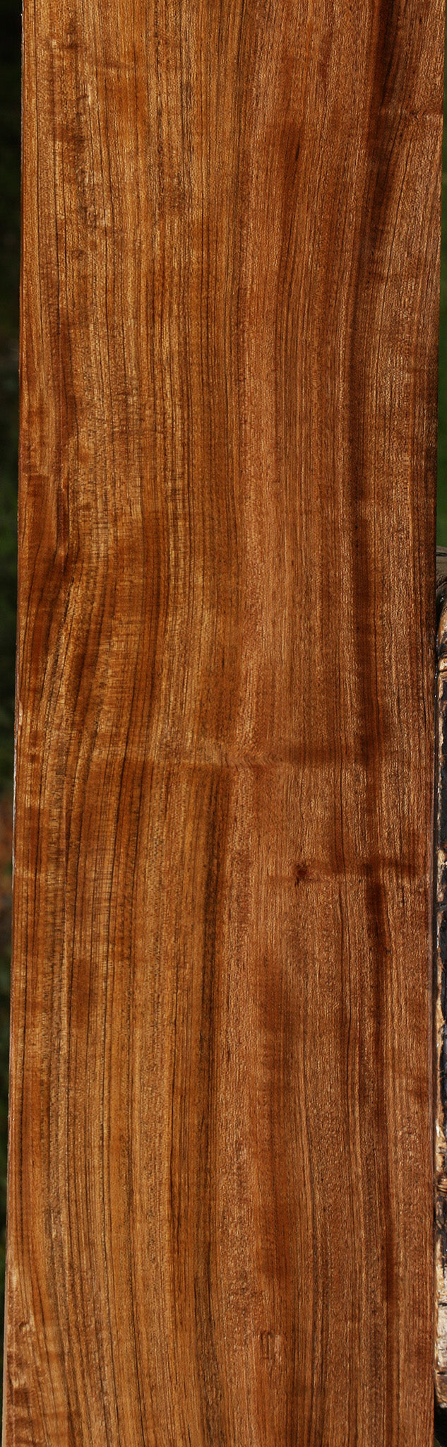 Extra Fancy Amazique Lumber