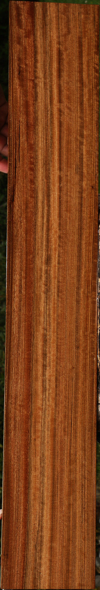 Extra Fancy Amazique Lumber