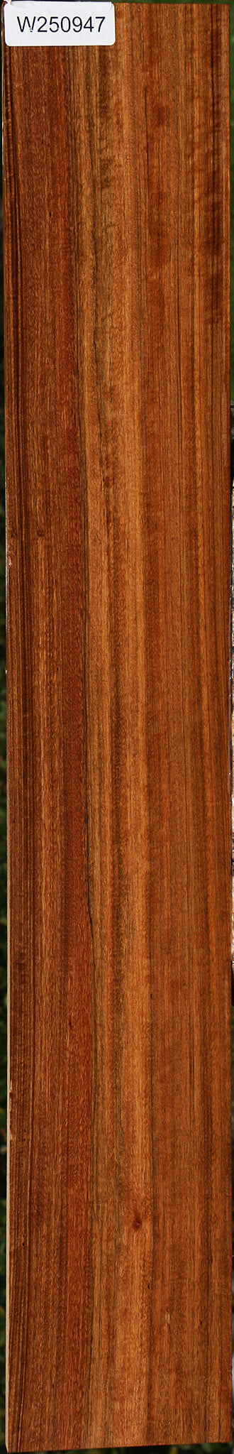 Extra Fancy Amazique Lumber