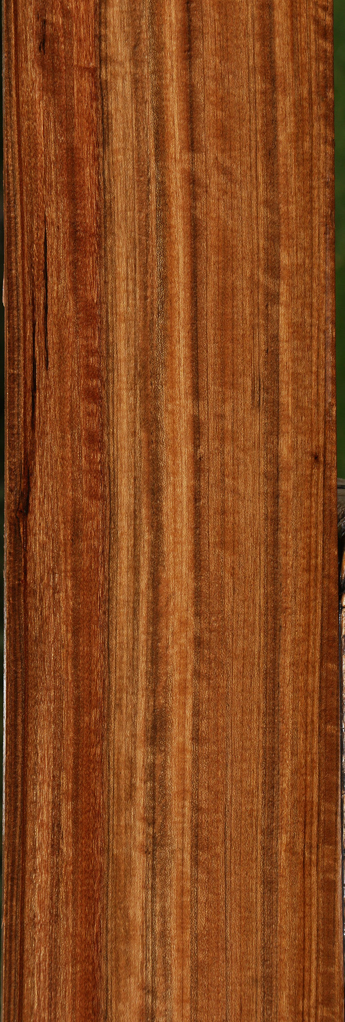 Extra Fancy Amazique Lumber