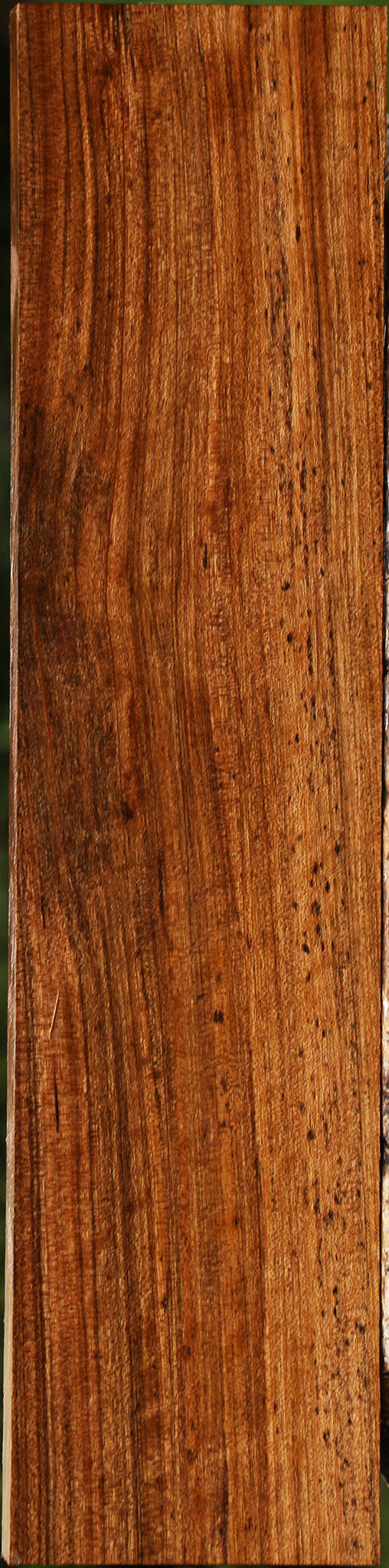 Figured Amazique Lumber