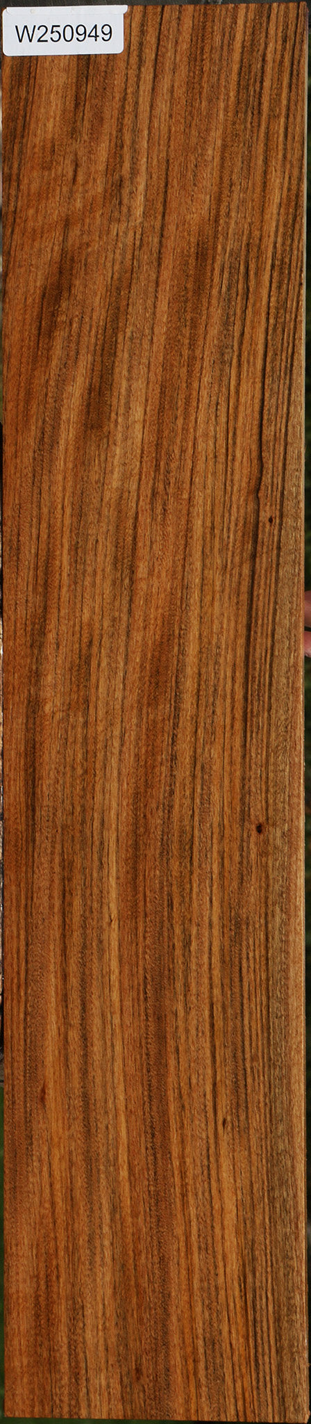 Extra Fancy Amazique Lumber