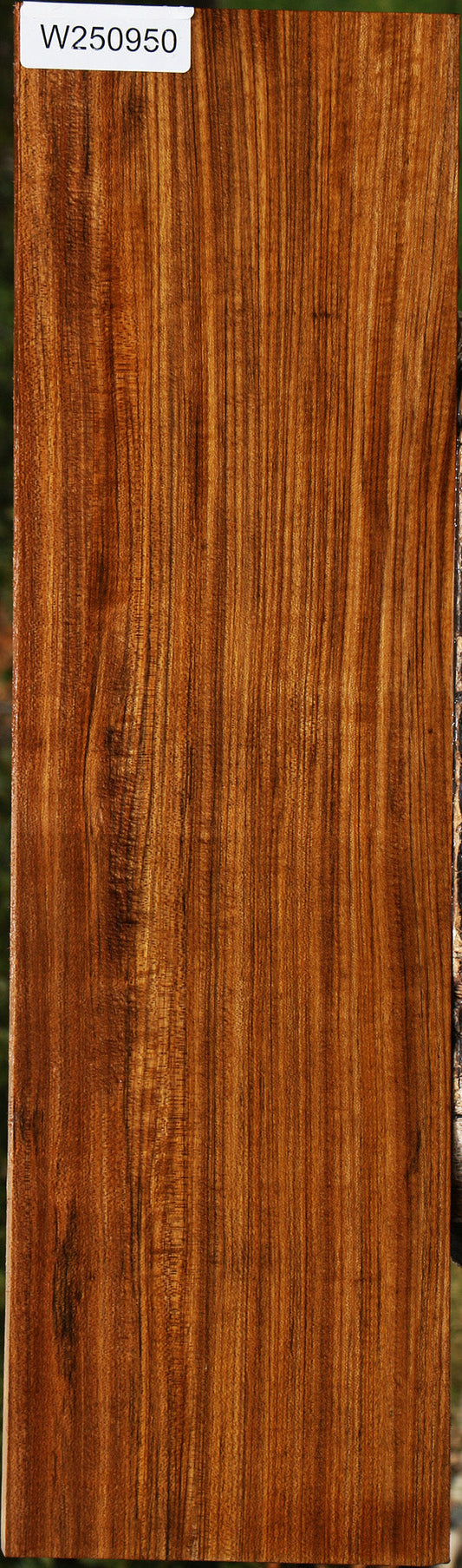 Figured Amazique Lumber