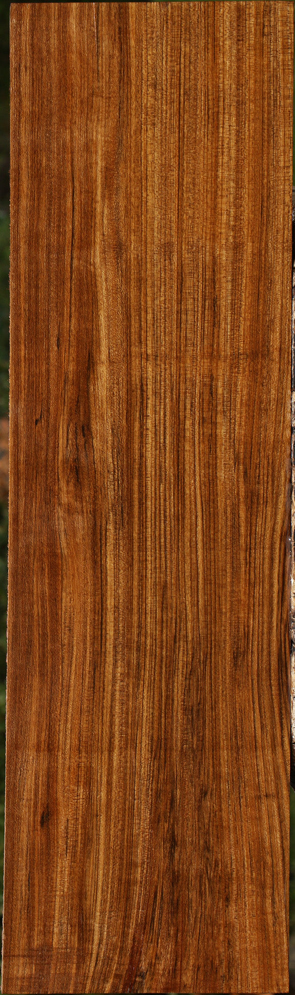 Figured Amazique Lumber
