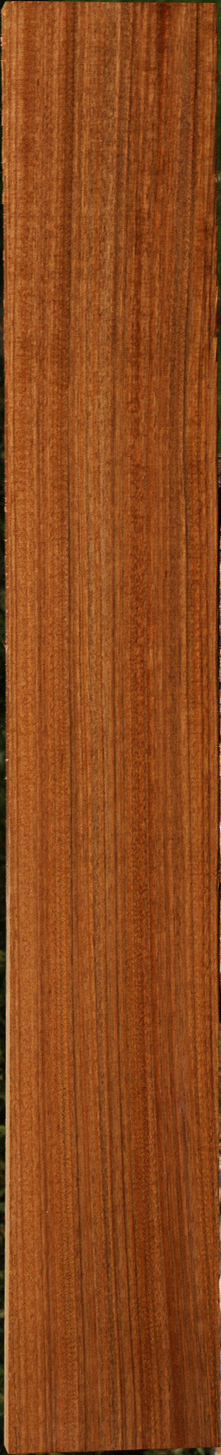 Amazique Lumber