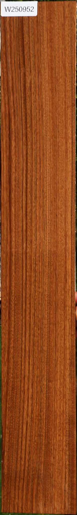 Amazique Lumber