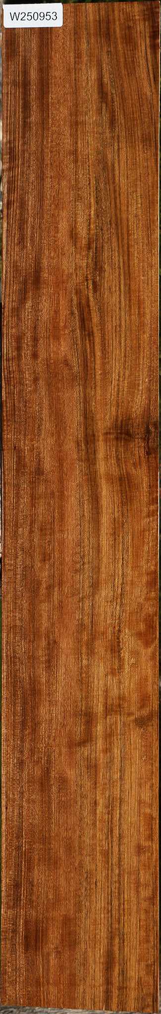 Figured Amazique Lumber