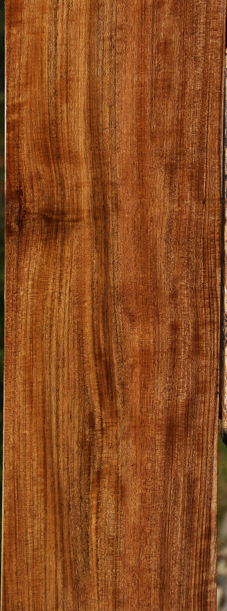 Figured Amazique Lumber