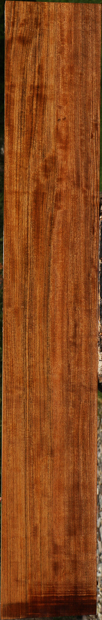 Figured Amazique Lumber