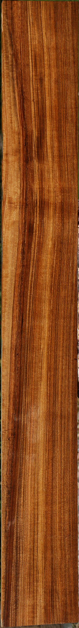 Figured Amazique Lumber