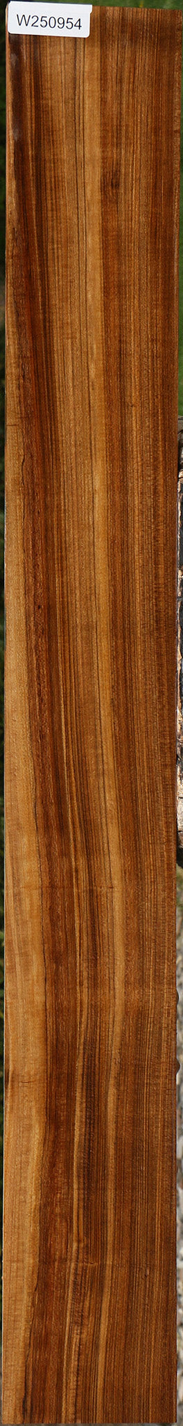 Figured Amazique Lumber