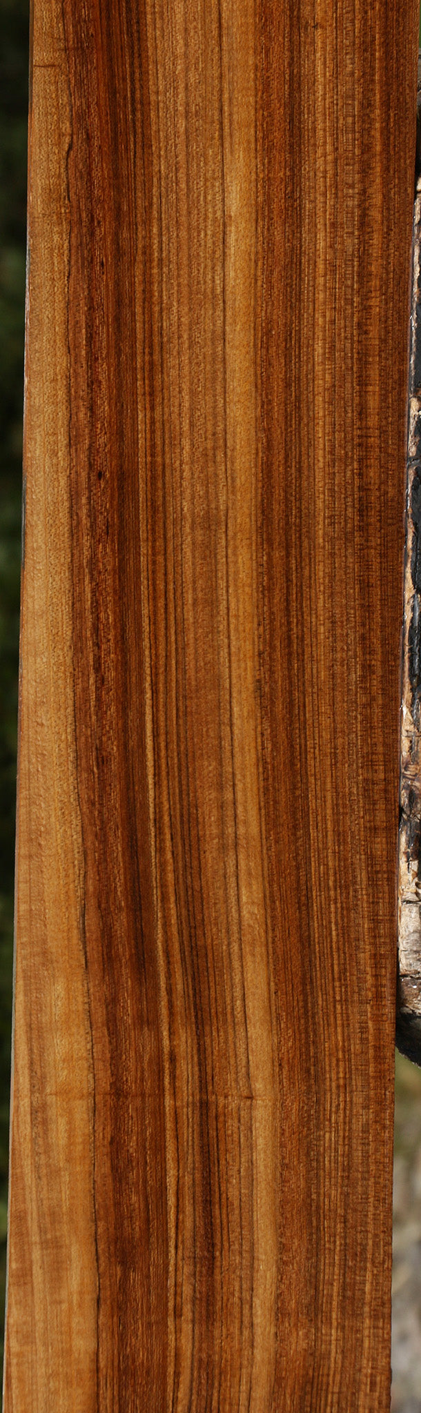 Figured Amazique Lumber