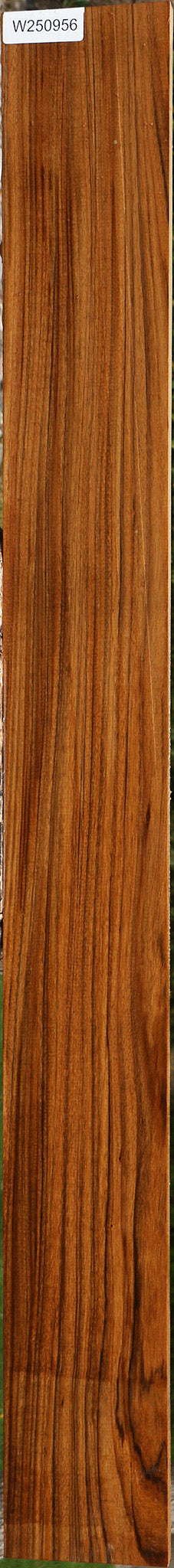 Amazique Lumber